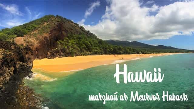 Hawaii marzhoù ar Meurvor Habask