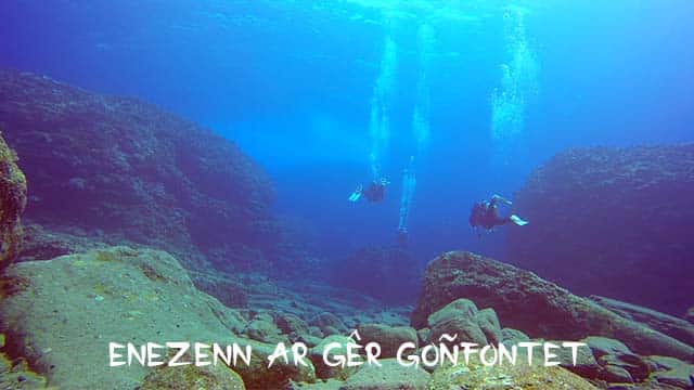 Enezenn ar gêr goñfontet